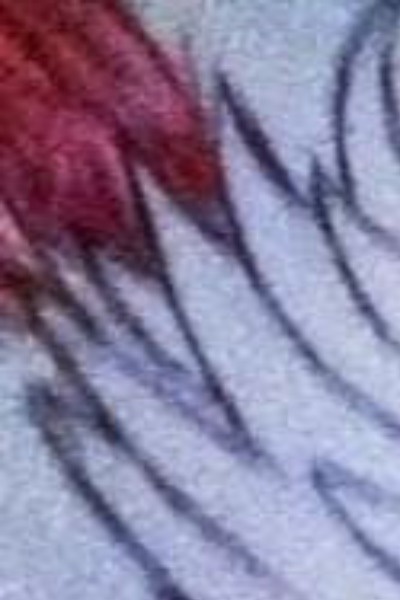 Ocean Princess: A Fairy Tale