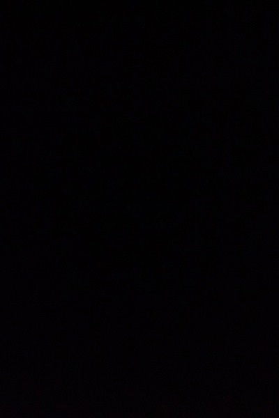 The Forbidden Savior