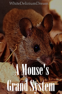 A Mouse's Grand System
