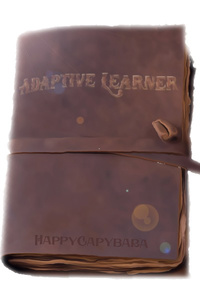 Adaptive Learner