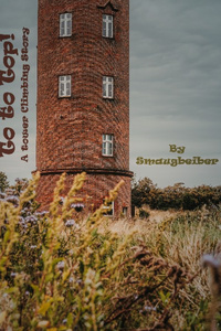 To the Top! A Tower Climbing Story