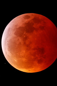 Once in a Blood Moon