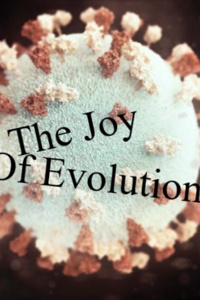 The Joy of Evolution