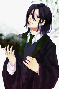 The Half-Blood Prince's Quest{HIATUS}