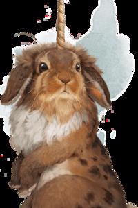 Wait? did you say the Demon Lord was a...?