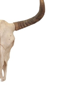 Lockzaga: Path of The Bull