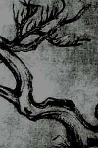 Moon of the darkest night