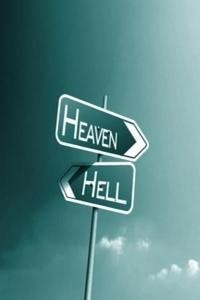 Is Heaven Supposed to Be Like This?!