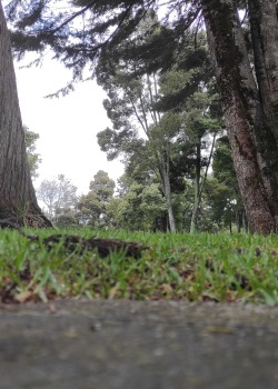 Mr. Lara’s Tiny Life