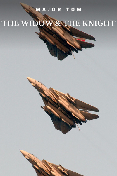 The Widow & The Knight (Top Gun x Uzaki-chan wa Asobitai!)