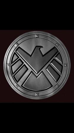 Agent of SHIELD (Young Justice SI)