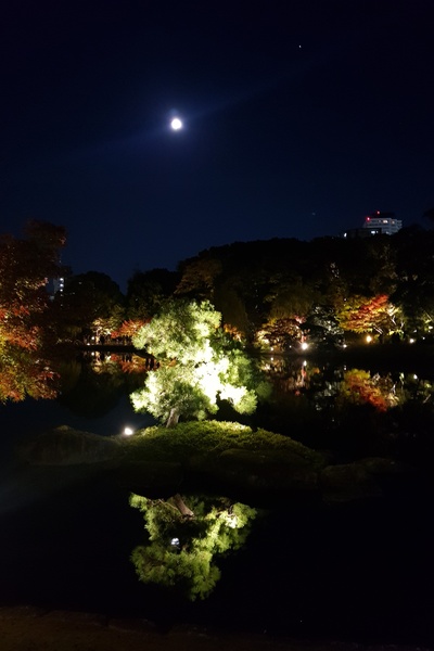 If Time Can Be Rewritten