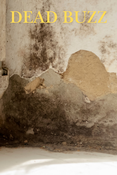 Dead Buzz