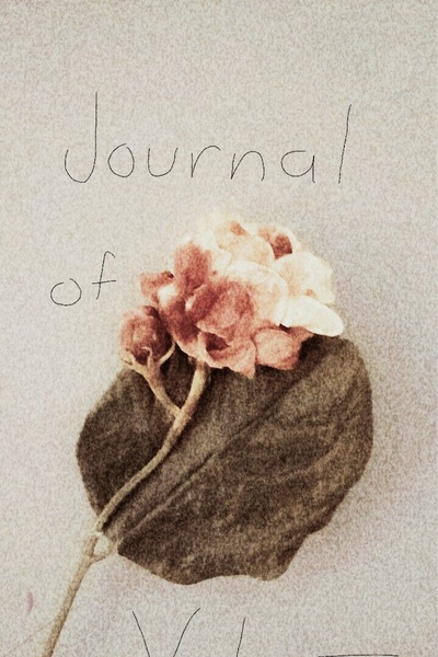 Valentin's Journal