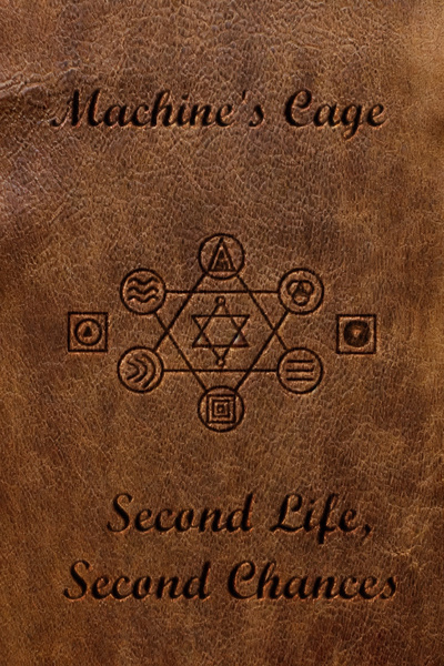 A Machine's Cage: Second Life, Second Chances