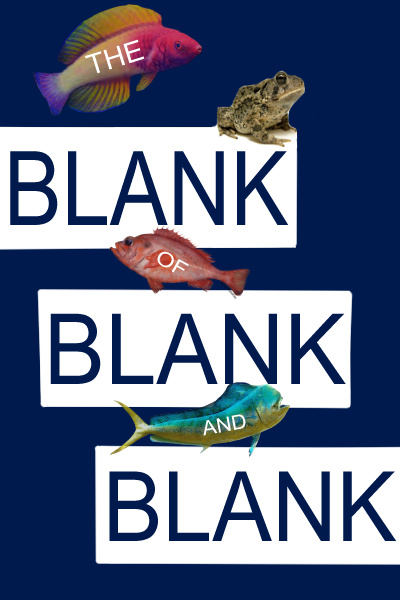 The [Blank] of [Blank] and [Blank]