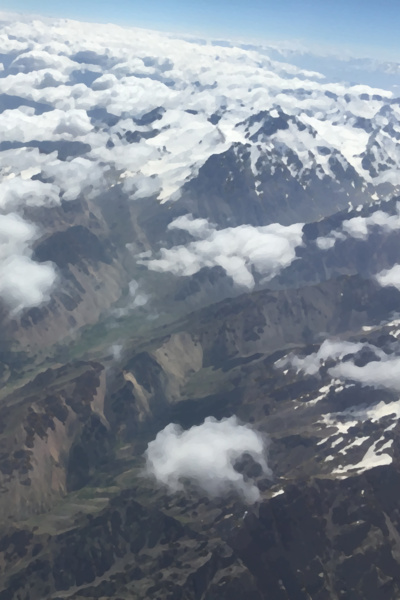 The Swarmbringer Origin: Druid of Decay