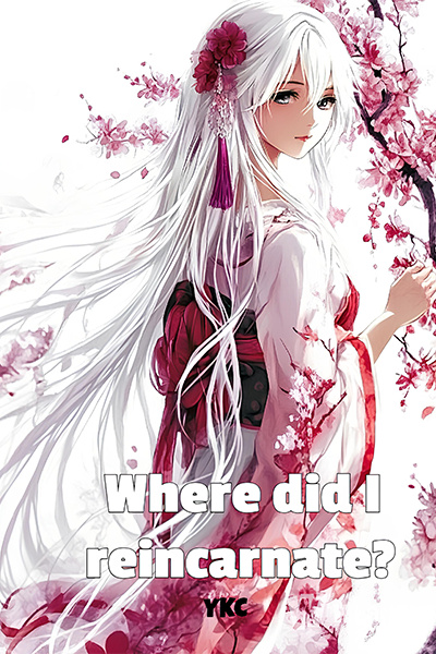 Where did I reincarnate?