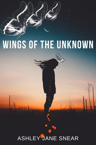 Wings of the Unknown