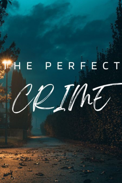 The Perfect Crime