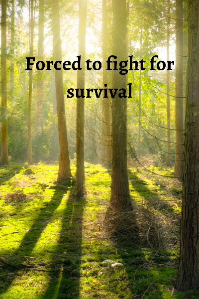 Forced to fight for survival