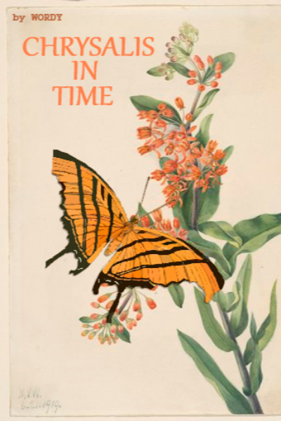 Chrysalis In Time