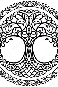 The Legends of Granis Book 1: The Evergreen Forest