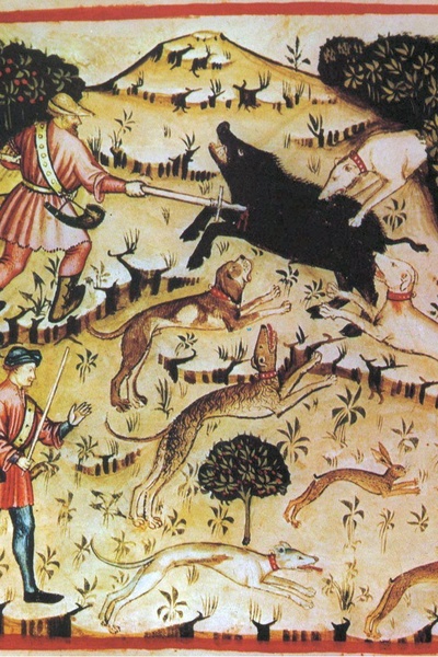 Black Dogs, White Horse