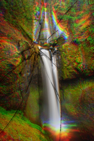 Tales Of The Floridiot's: Memories